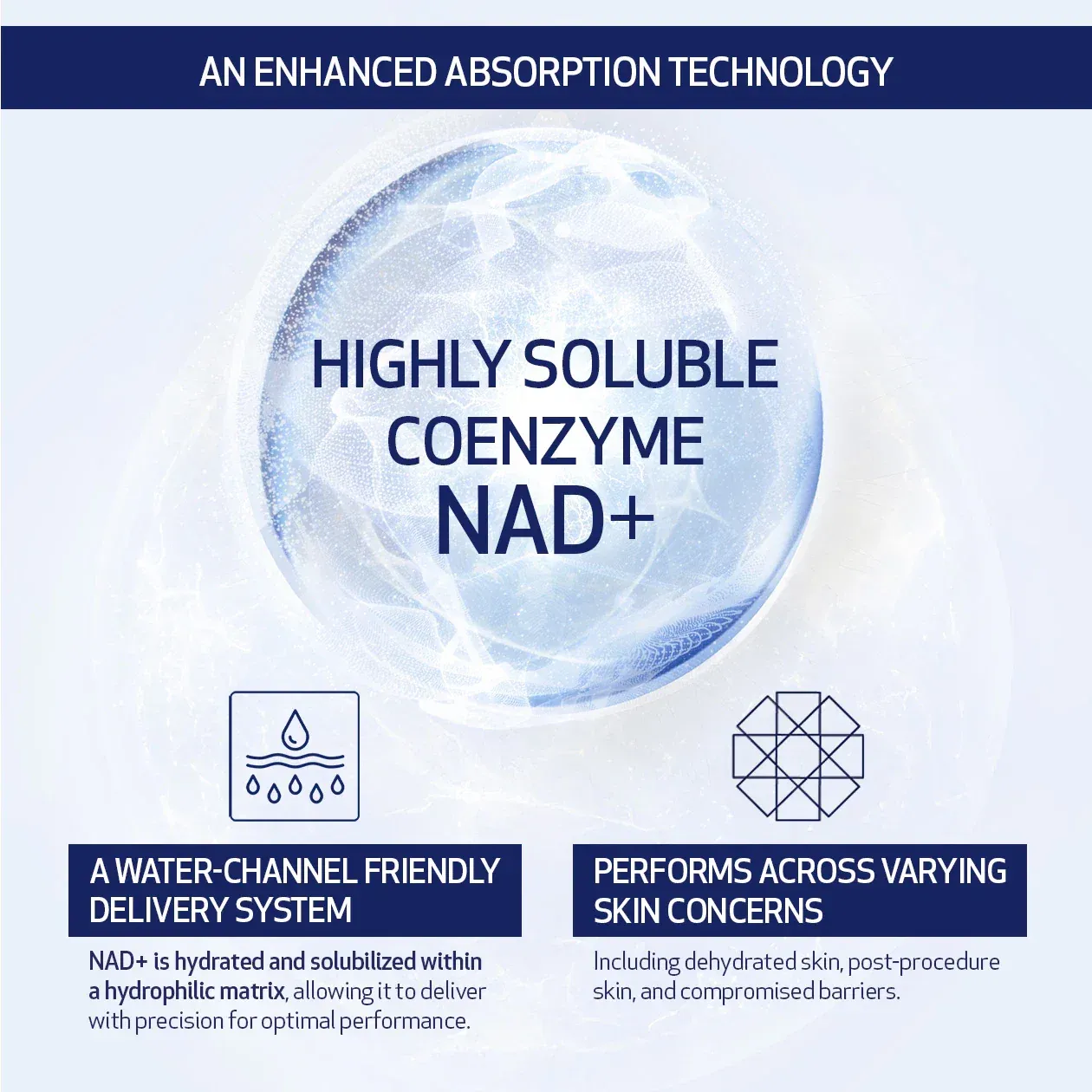 Highly soluble coenzyme NAD+ graphic